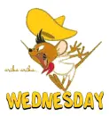 WEDNESDAY