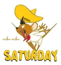 SATURDAY
