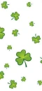 Shamrocks on white background