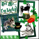 Dog St Patties gift