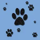 Paws background