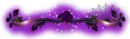 Gothic purple Divider1
