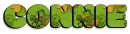 CONNIE â¥ SHAMROCK TEXT