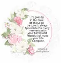 Life Goes By . . .