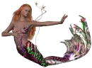 Mermaid