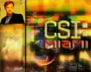 csimiami
