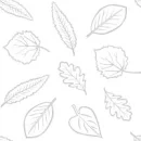 Leaf Background