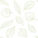 Leaf Background