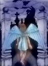 Lost Angel