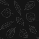 Leaf,background