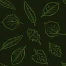 Leaf Background