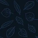 Leaf Background