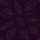 Leaf Background