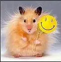 Hamster Holding Smiley