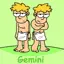 gemini