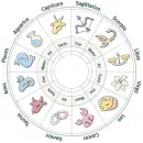 zodiac