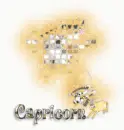 capricorn