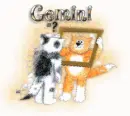 gimini