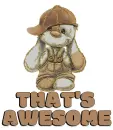 That's Awesome