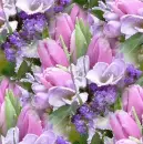 Spring tulips ~ background
