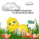 Mel - Chick - In Grass - Friend