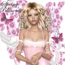 Spring Blossoms