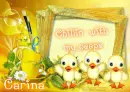 Carina ~ fg