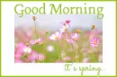 GOOD MORNING. It's Spring