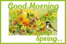 GOOD MORNING.. spring