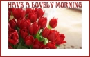 HAVE A LOVELY MORNING