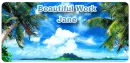 Beautiful Work - Jane