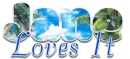 Scenery - Jane