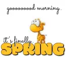 Good morning.. its finally spring