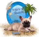 Life's a Beach - Jane