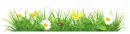 Grass divider