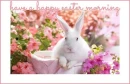 have a happy easter morning
