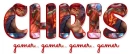 CHRIS << gamer.. gamer.. gamer.. gamer >>