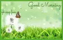 spring fun.. GOOD MORNING