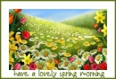 have a lovely spring morning
