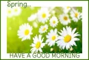 Spring.. have a good morning