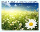HAVE A LOVELY SPRING MORNING