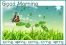 GOOD MORNING... ðŸŒ» spring.. spring.. spring.. spring.. spring