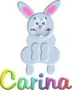 Carina