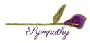 Sympathy   