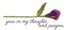 your in my thoughts and prayers