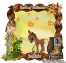 Loving Autumn - Robbie