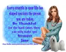 Every struggle - Jane