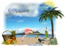 Paradise