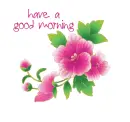 Have a good morning ðŸŒ¸ðŸƒ
