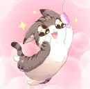 cute cat